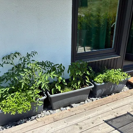 Apartamento Auszeit Im Grünen *